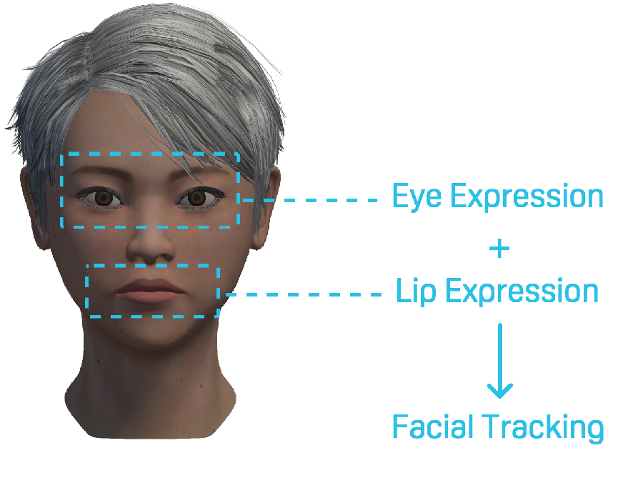 Face Tracking