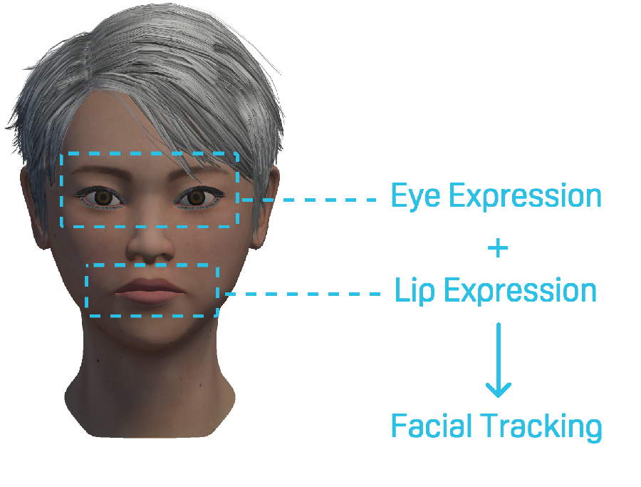 Getting Data of Facial Tracking - Developer Resources